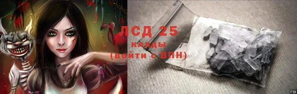 прущие грибы Покачи