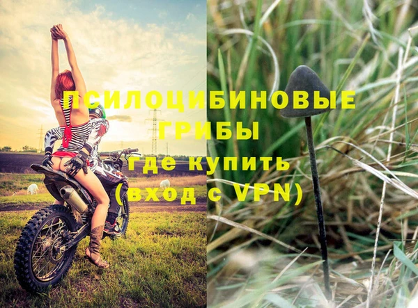 твердый Богородицк