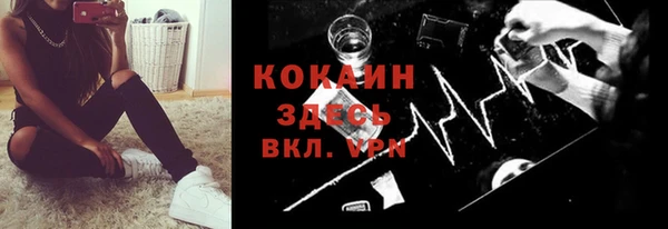 твердый Богородицк