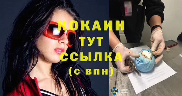 твердый Богородицк