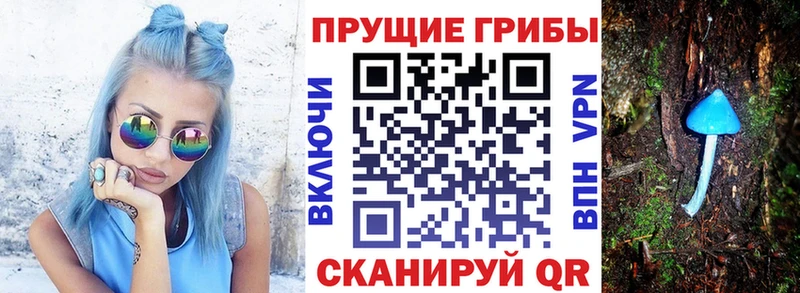 Галлюциногенные грибы ЛСД  площадка клад  Бронницы 