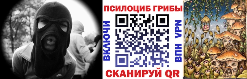 Галлюциногенные грибы Cubensis Бронницы